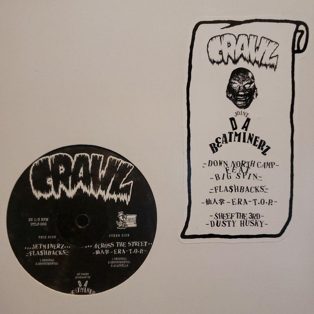 300枚 限定盤 FLASHBACKS 仙人掌