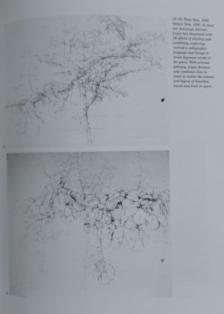 【美画集_貴重★】Antonio Lopez アントニオ・ロペス