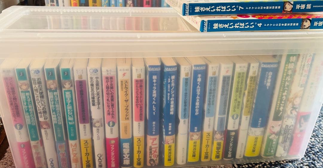 ライトノベルまとめ売り600冊