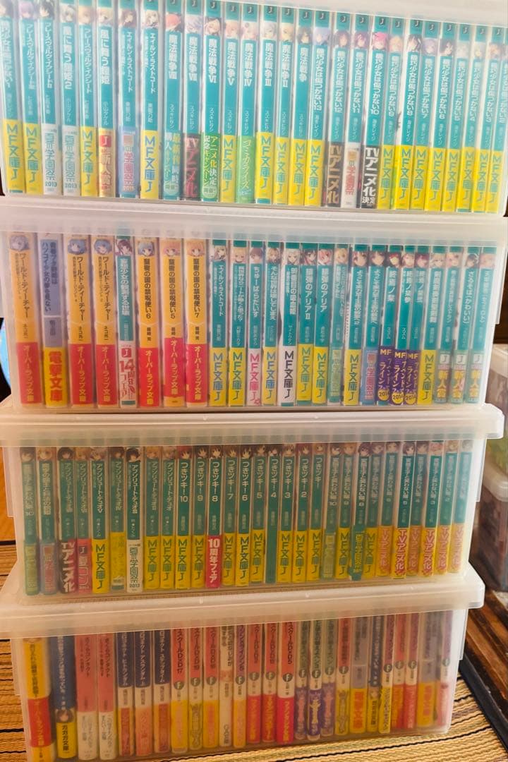 ライトノベルまとめ売り600冊