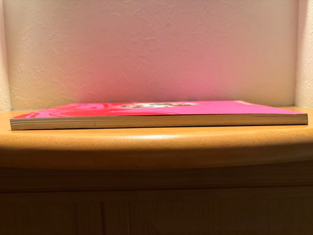 すかんち バンドスコア 入手困難 絶版 希少 楽譜