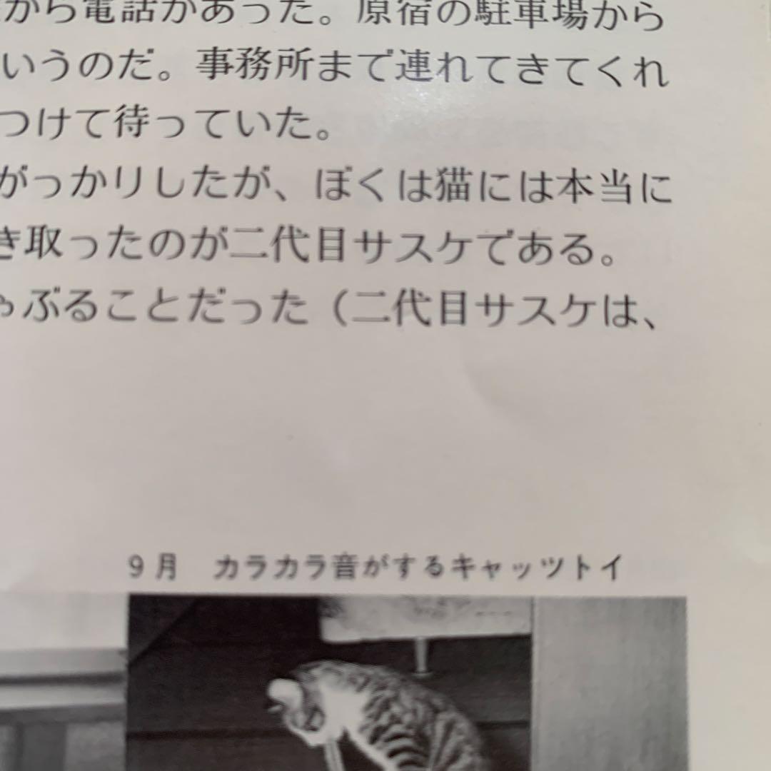 サスケ！！いとしき猫よ