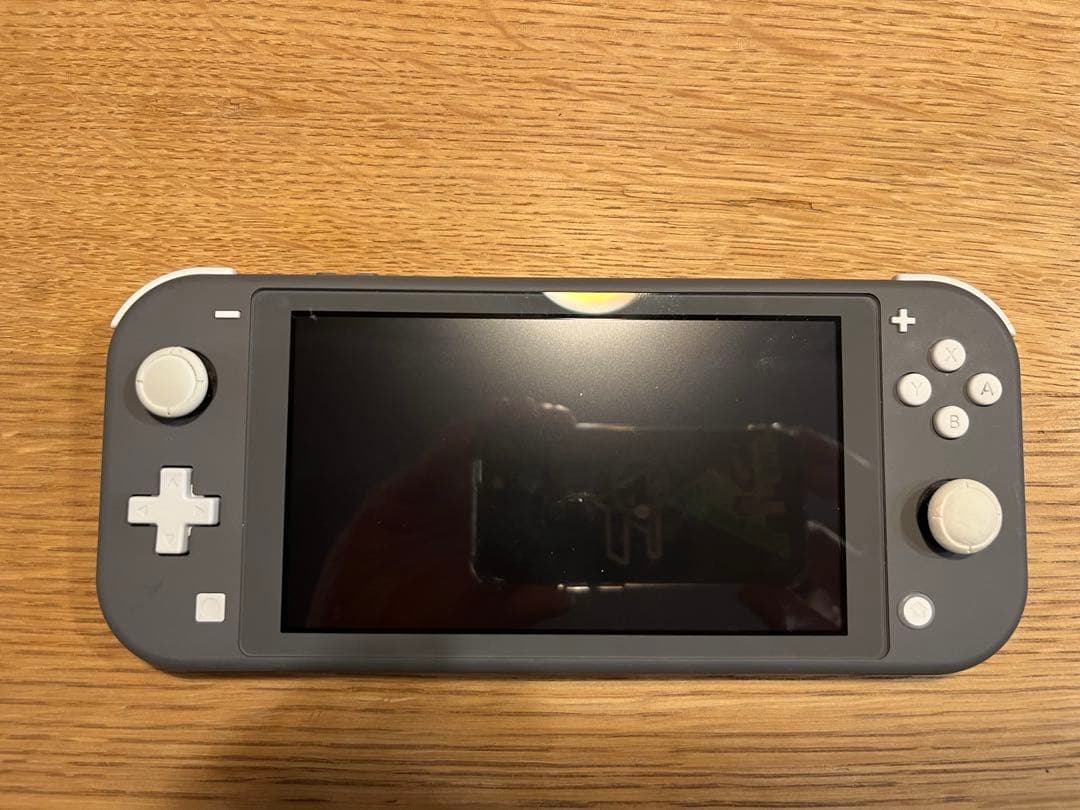 Nintendo SwitchLiteグレー本体 スイッチライト充電器ケース付き