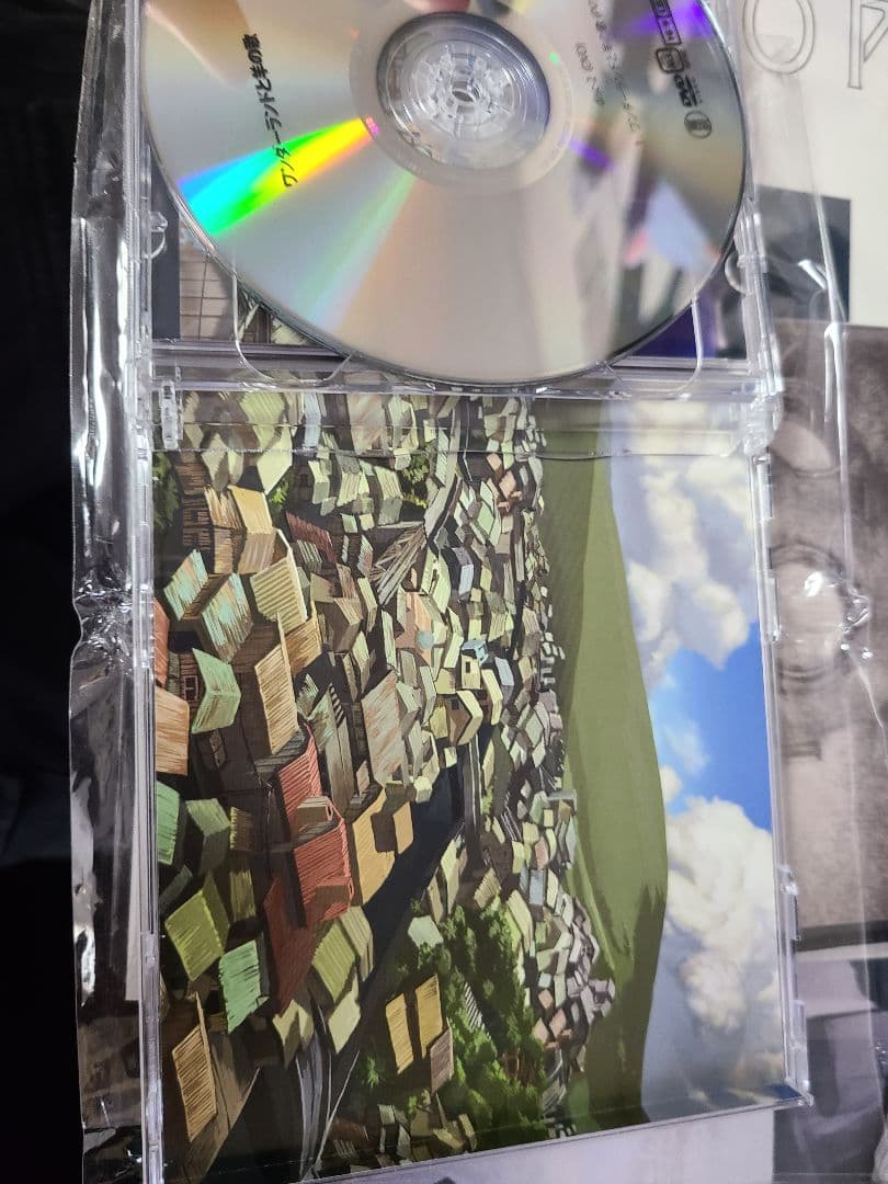 廃盤 ワンダーランドと羊の歌　南方研究所 米津玄師 ハチ