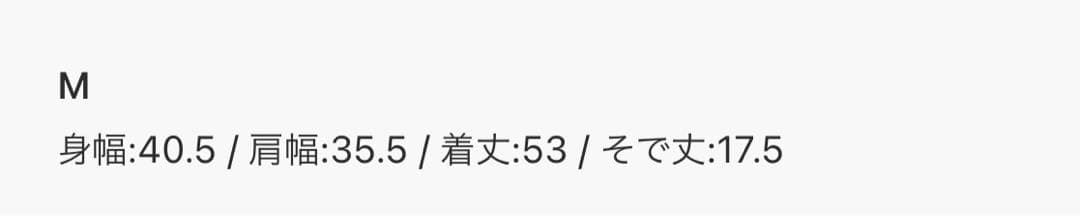 【新品未使用】LACOSTE ラコステ ポロシャツ ネイビー