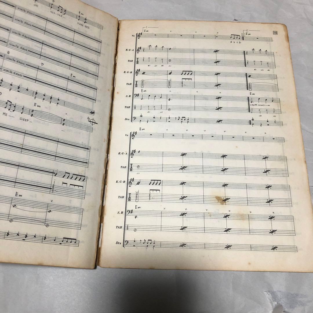 ザ・ルースターズ バンドスコア 楽譜 THE ROOSTERS INSANE