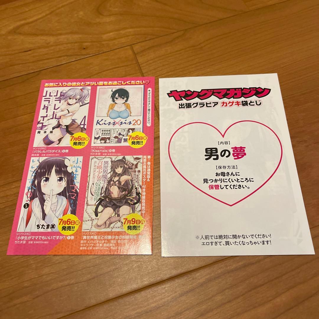 パラレルパラダイス 1-27巻 全初版