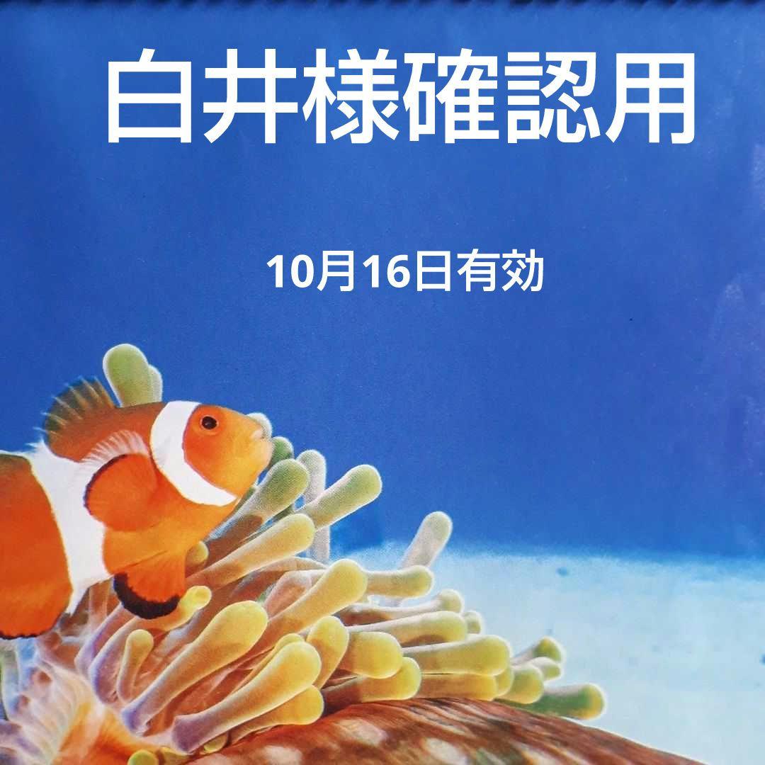 沖縄アダン＊バングル56