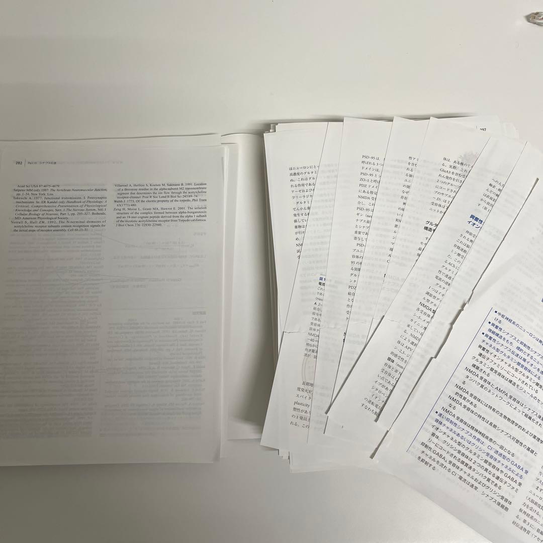 IPPONさん専用【裁断済み】第2版カンデル神経科学