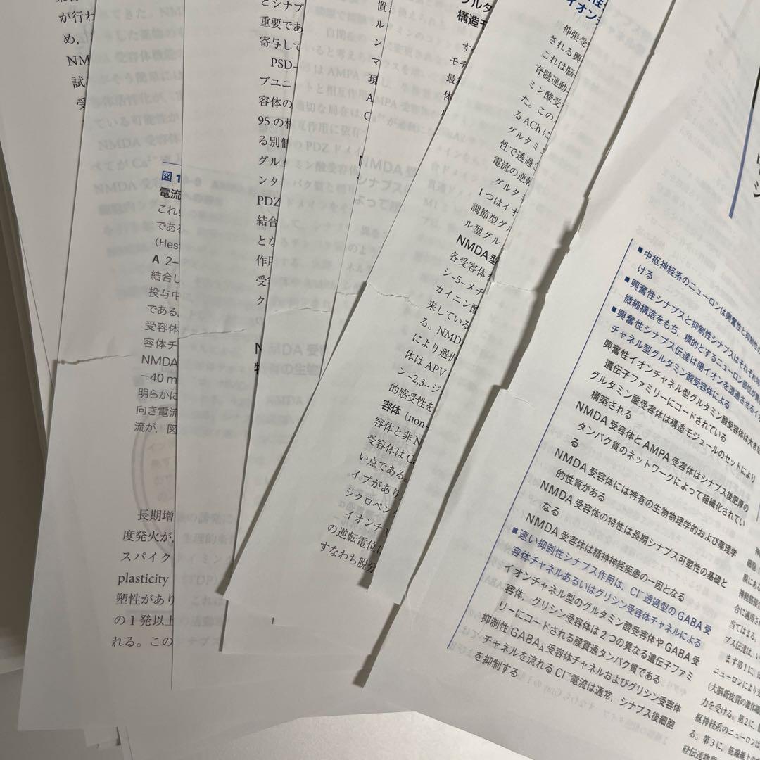 IPPONさん専用【裁断済み】第2版カンデル神経科学