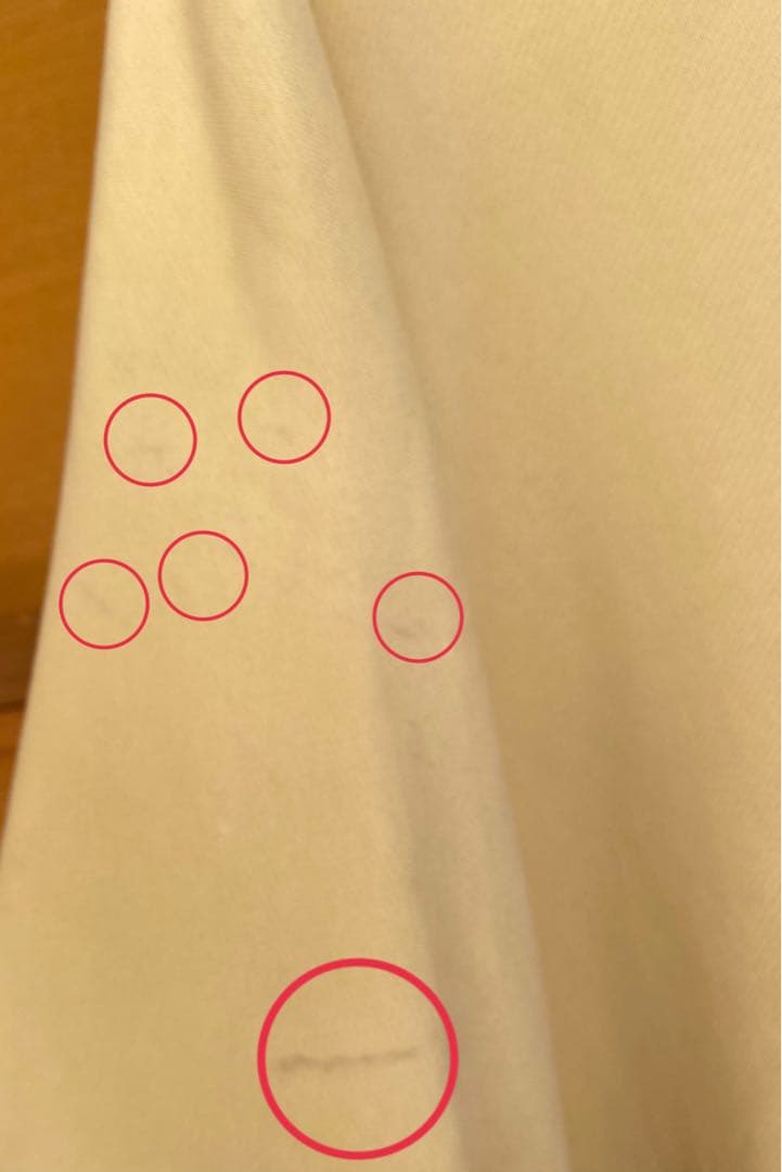 SHISHIKUI シシクイ レミリリーフ スウェット L.yellow