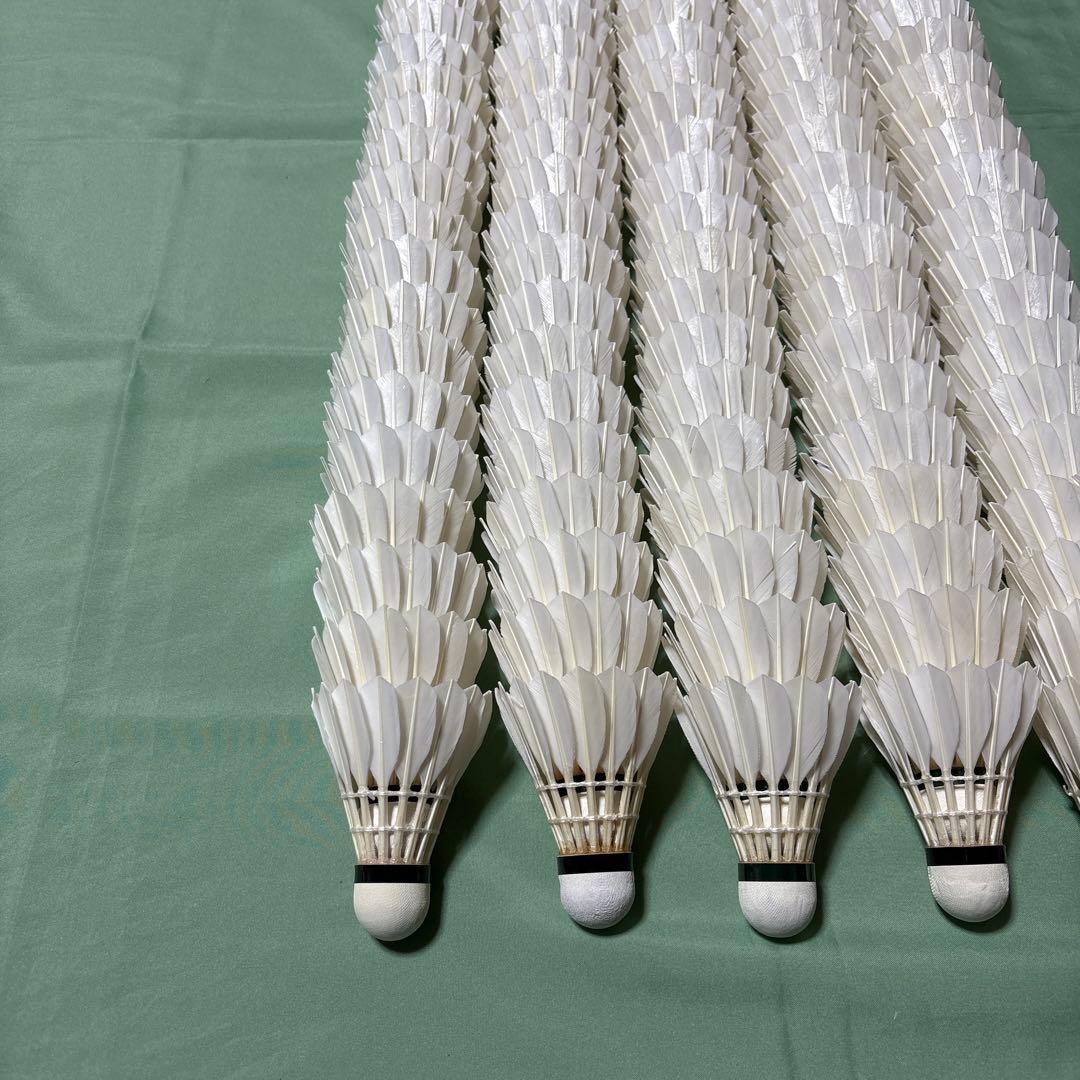 バドミントンシャトル ノック、トスバッティング用 202