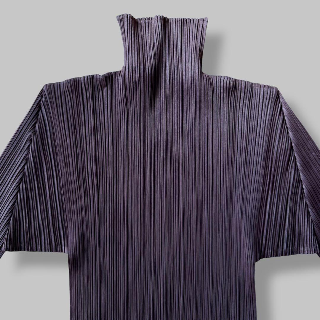 【RR様】プリーツプリーズ ロングワンピース マキシ丈 ハイネック ボルドー L