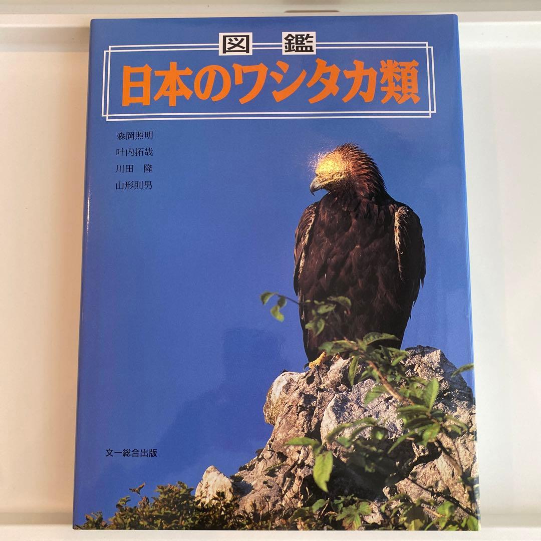 【絶版】図鑑 日本のワシタカ類