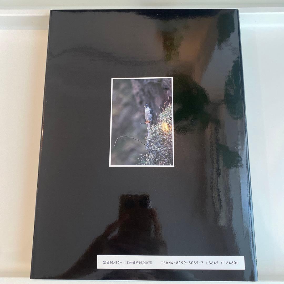 【絶版】図鑑 日本のワシタカ類