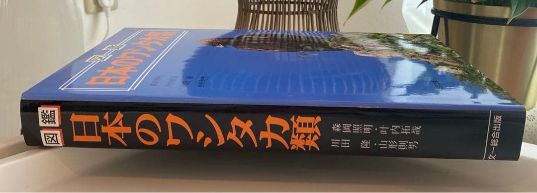 【絶版】図鑑 日本のワシタカ類