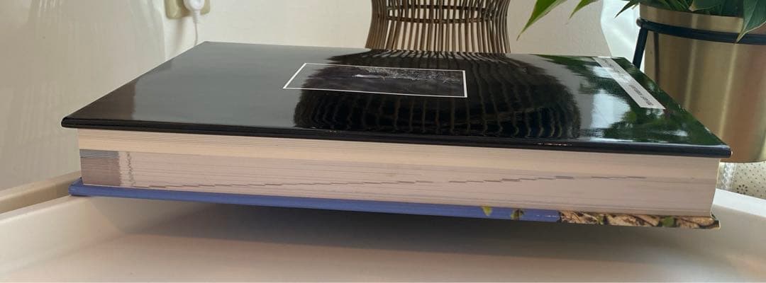 【絶版】図鑑 日本のワシタカ類