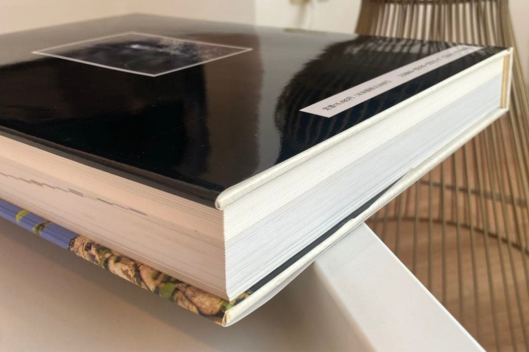 【絶版】図鑑 日本のワシタカ類