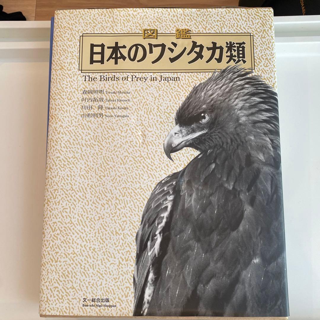 【絶版】図鑑 日本のワシタカ類