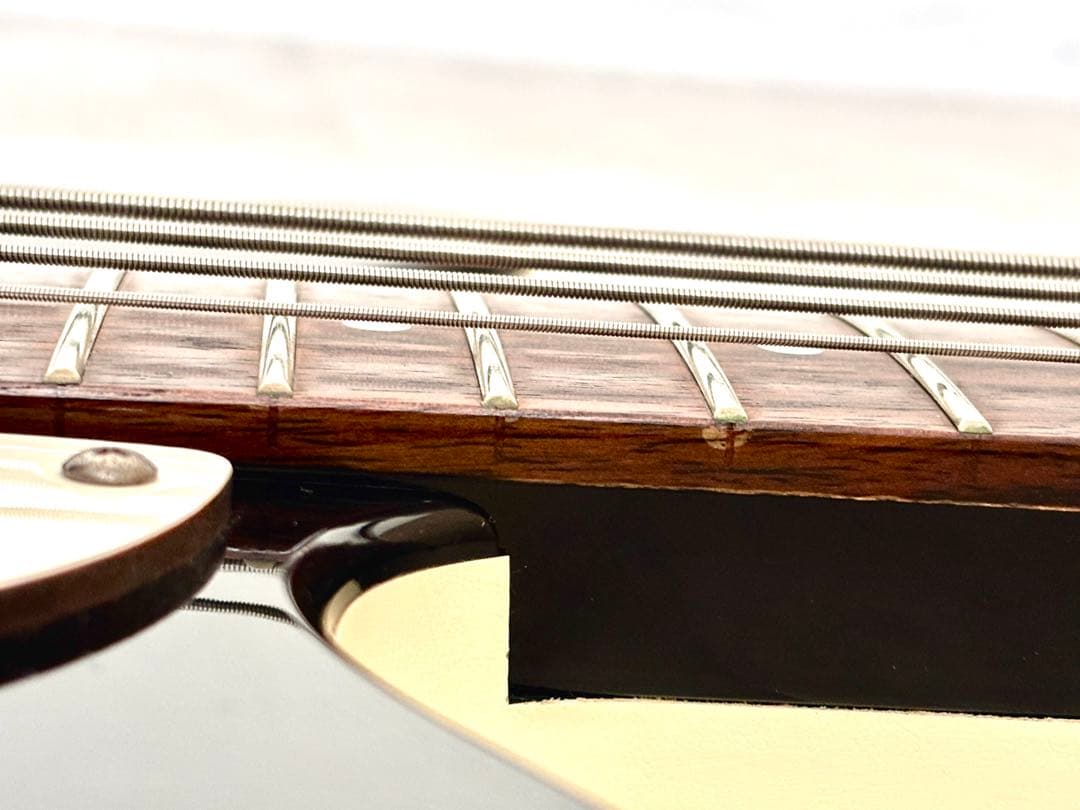 Danelectro ダンエレクトロ ベース 軽量 新品ソフトケース付き