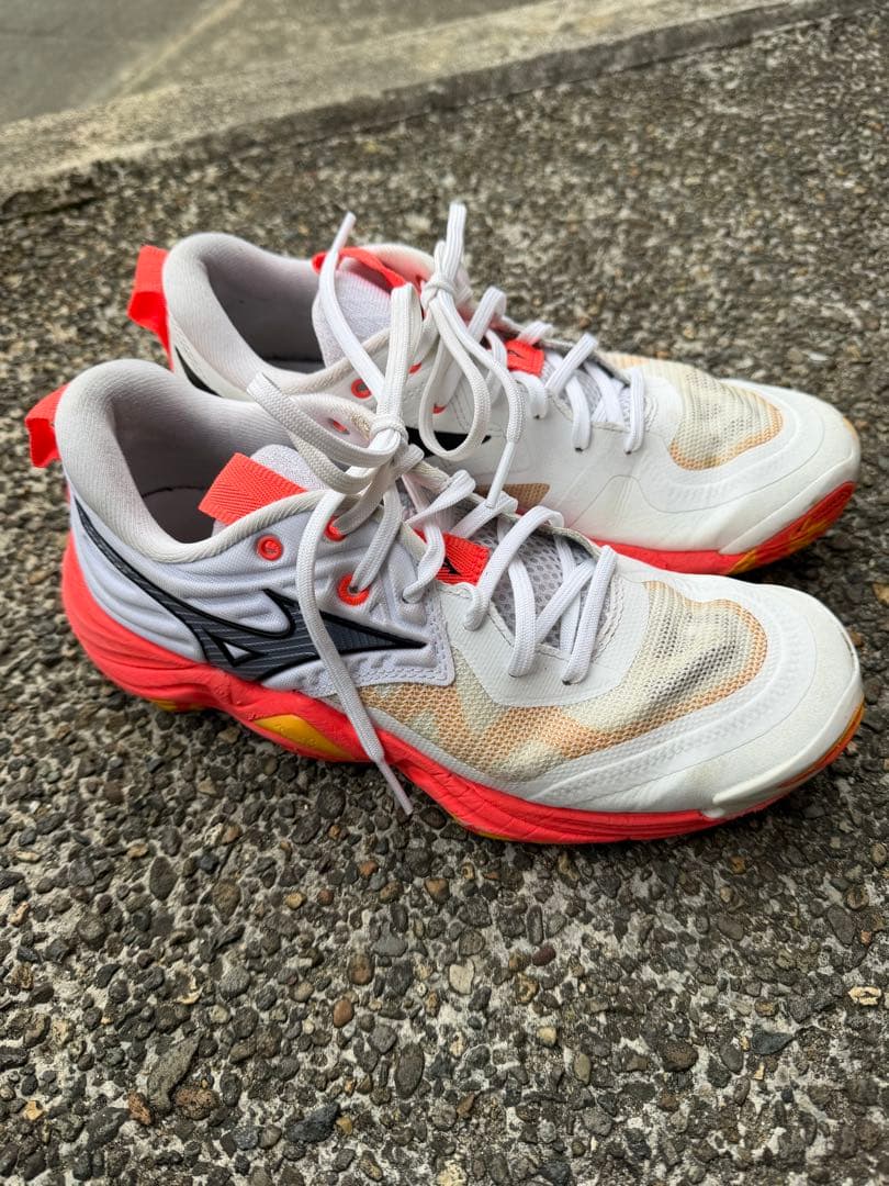 Mizuno ウエーブモーメンタムエリート　シューズ　　バレー