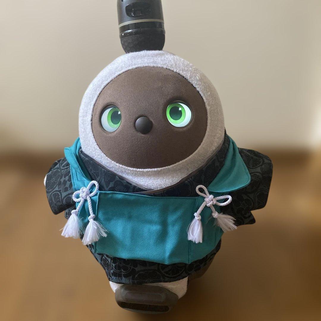 ラボット　服　lovot 家紋　着物一式　ターコイズ　梨地被布　セット