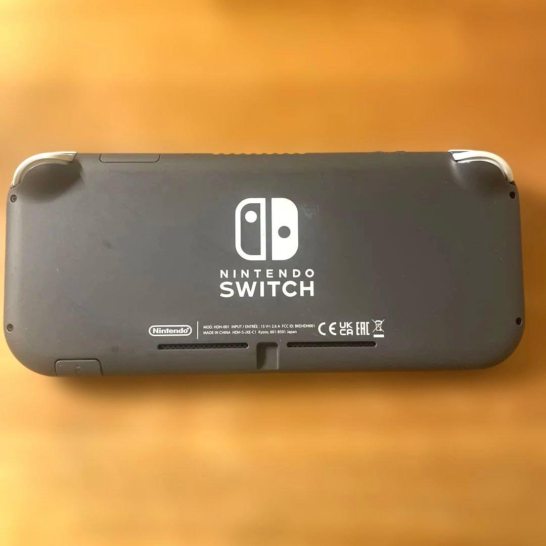 SwitchLight グレー