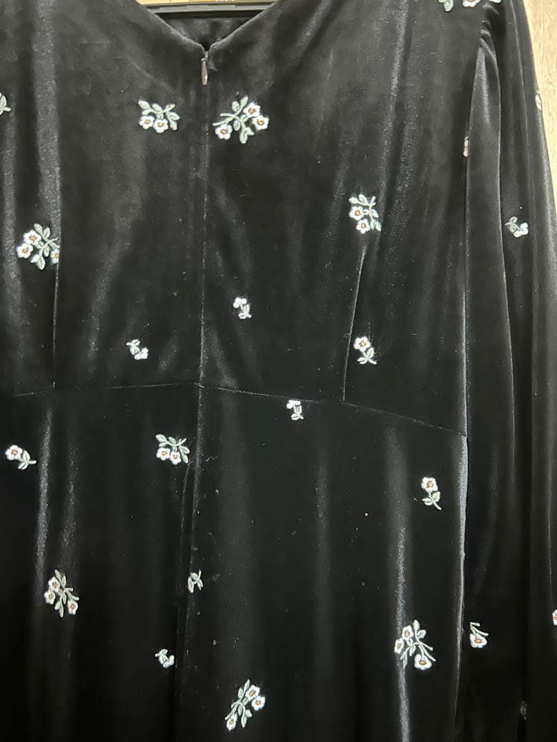 Ray BEAMS ベロア刺繍ワンピース