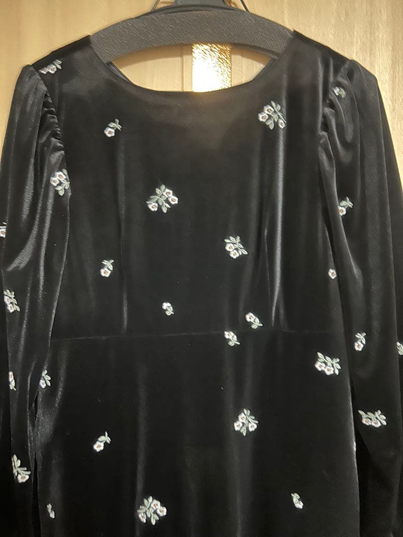 Ray BEAMS ベロア刺繍ワンピース