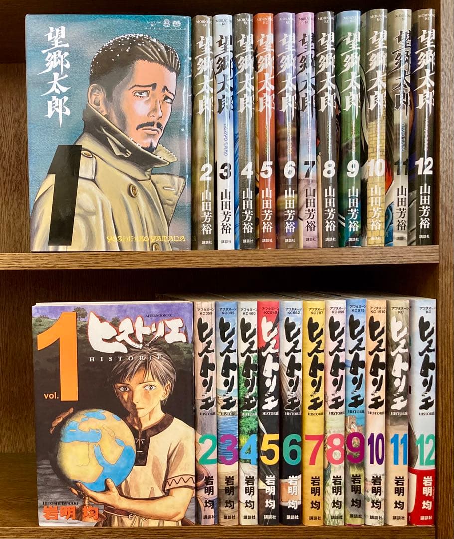 ◯既刊セット◯『望郷太郎』山田芳裕＋『ヒストリエ』岩明均