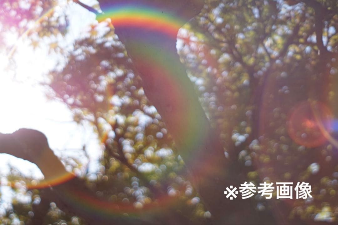 ☆クリスマスセール｜在庫15点限定・10％OFF☆ 【外観美品】