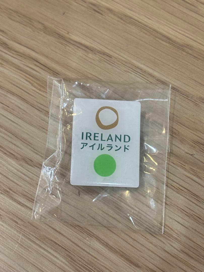大阪関西万博アイルランド館　非売品ピンバッジ
