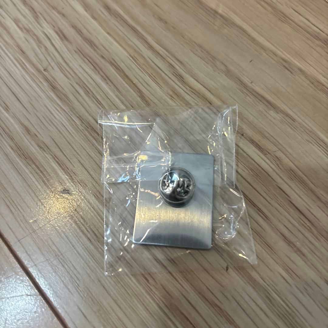 大阪関西万博アイルランド館　非売品ピンバッジ