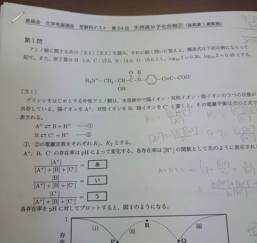 鉄緑会 高3化学冊子全62冊など1年分