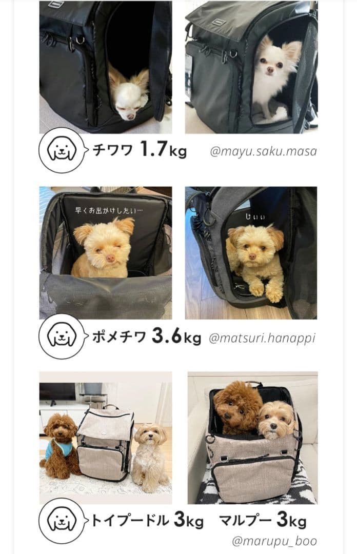 新品✨️エアバギー 3WAYキャリーバックパック リュック犬猫 ペット ブラック