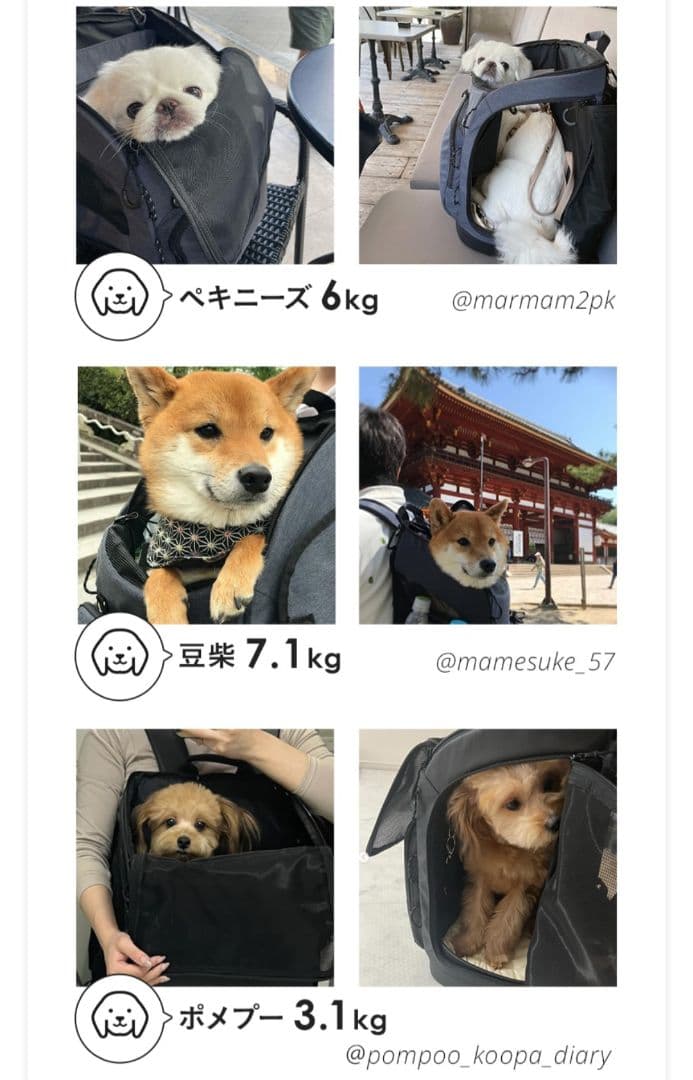 新品✨️エアバギー 3WAYキャリーバックパック リュック犬猫 ペット ブラック