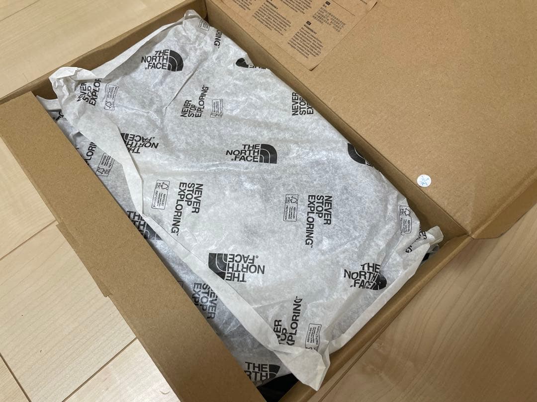 【新品未使用】ノースフェイス　シューズ