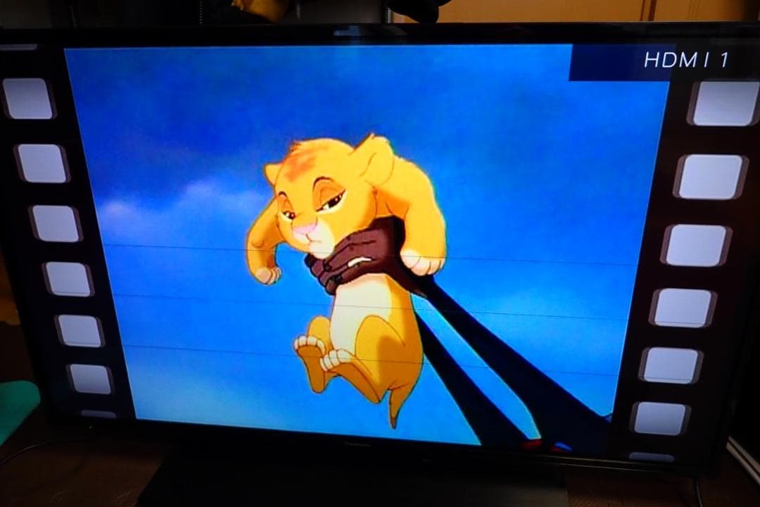 Panasonic TH-43GR770 4K液晶TV ブルーレイ内蔵 2021