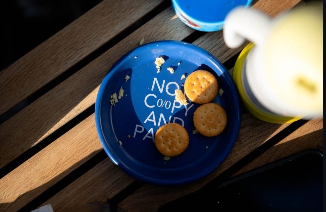 【新品未使用】ネルデザインワークス コラボkozara12