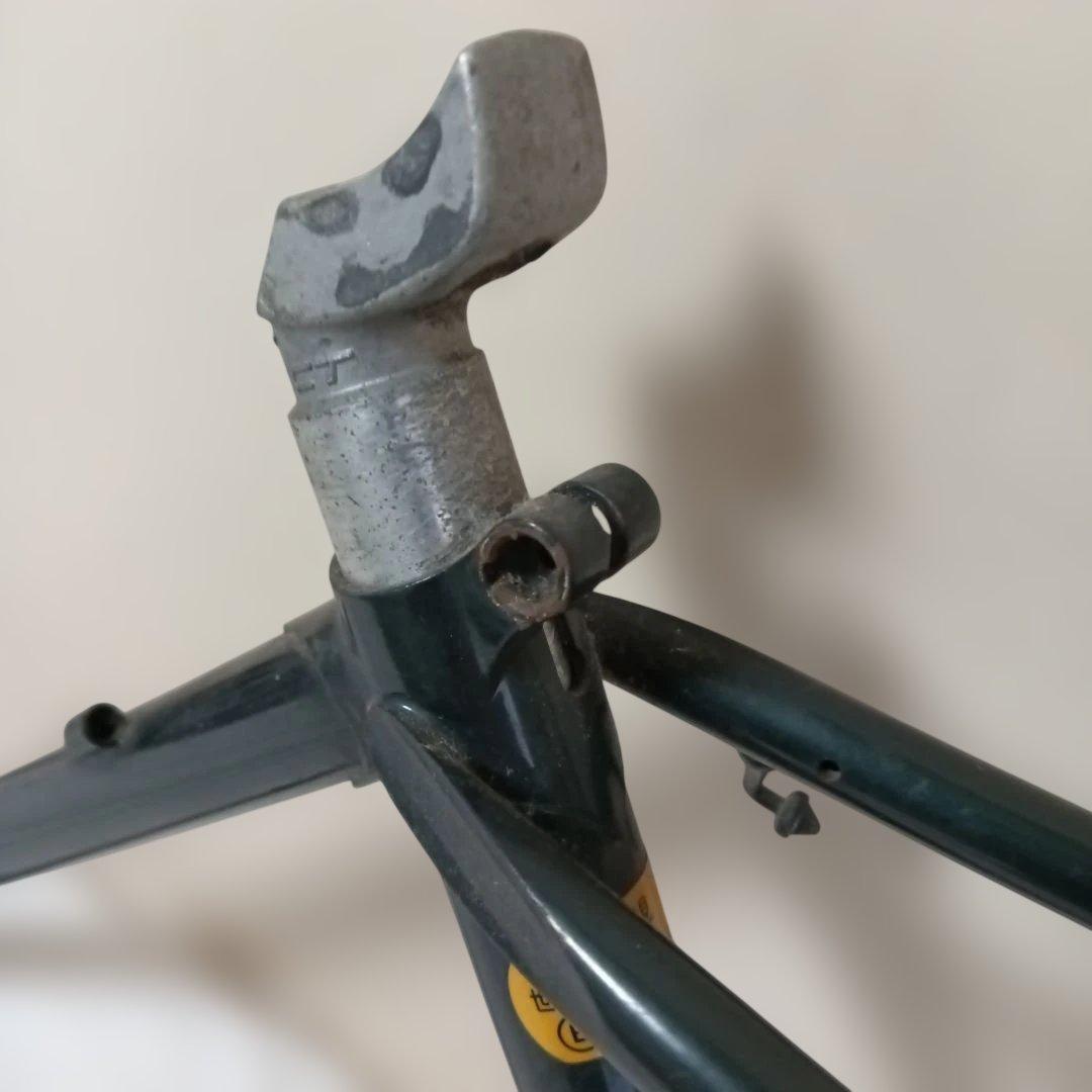 EMPEROR 濃緑 フレーム