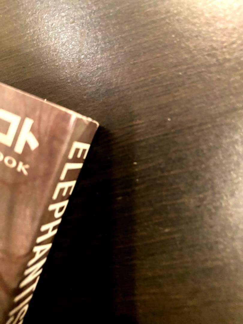 Elephantism : 坂本龍一のアフリカ : ソトコトDVDブック