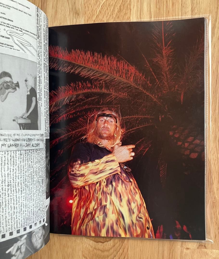 INSIDE THE BUM ビーチ・バム まじめに不真面目 写真集