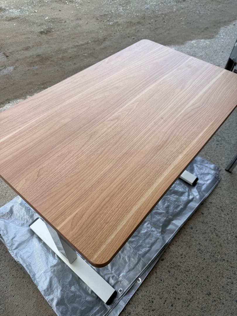 flexispot EG1 昇降式パソコンデスク 100cm