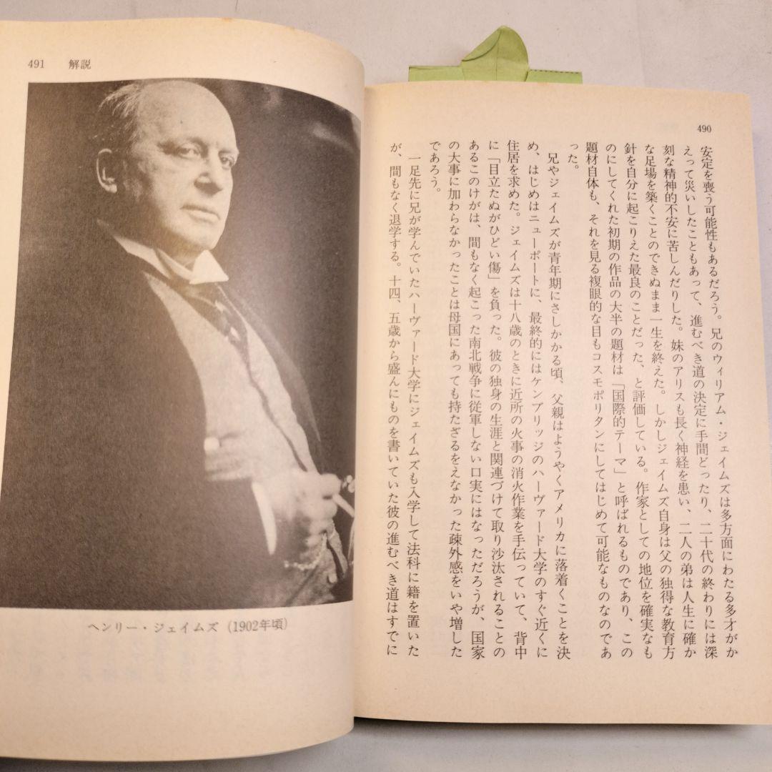 鳩の翼 上下 講談社文芸文庫