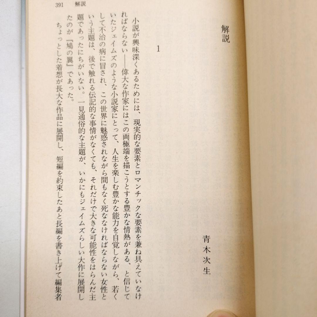 鳩の翼 上下 講談社文芸文庫