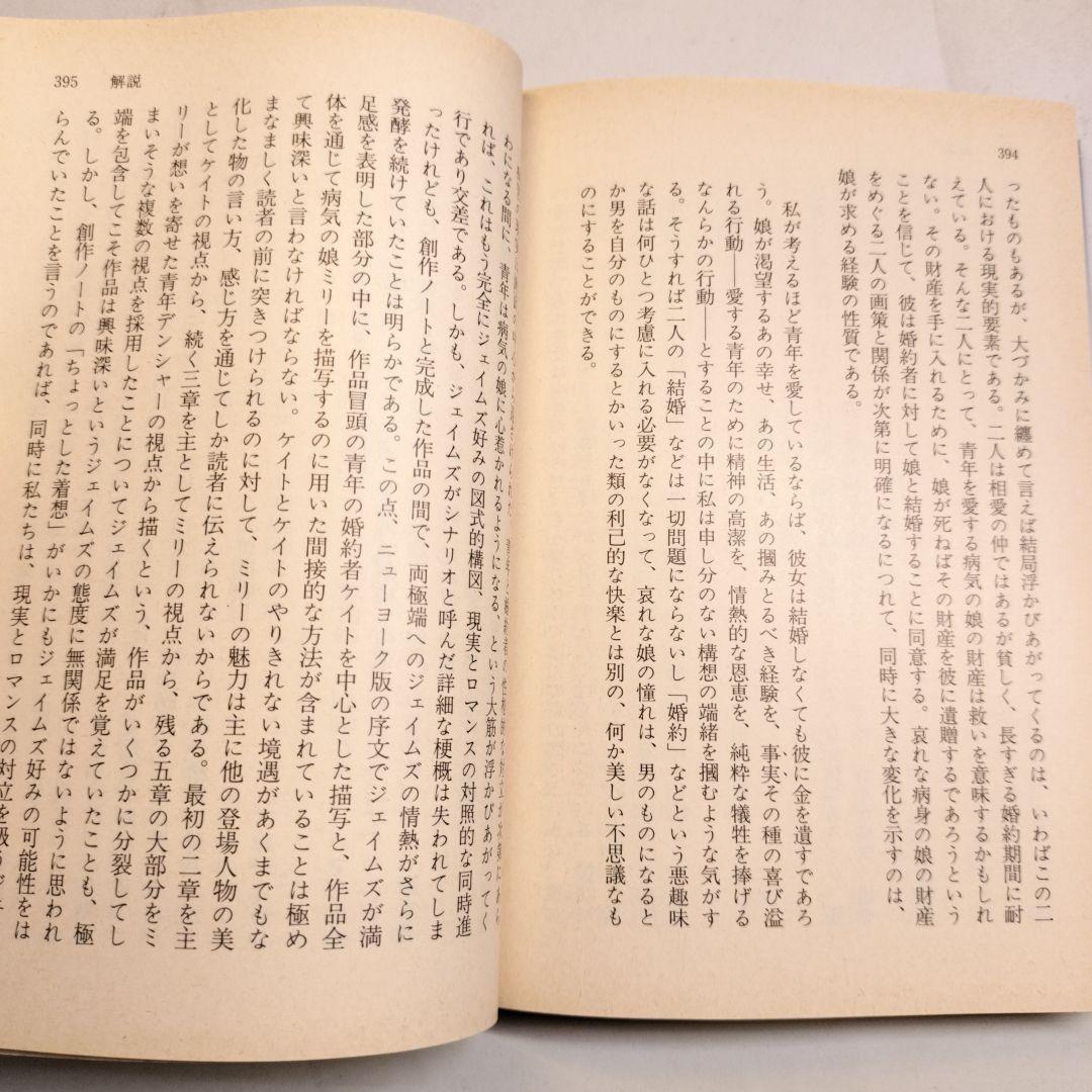鳩の翼 上下 講談社文芸文庫