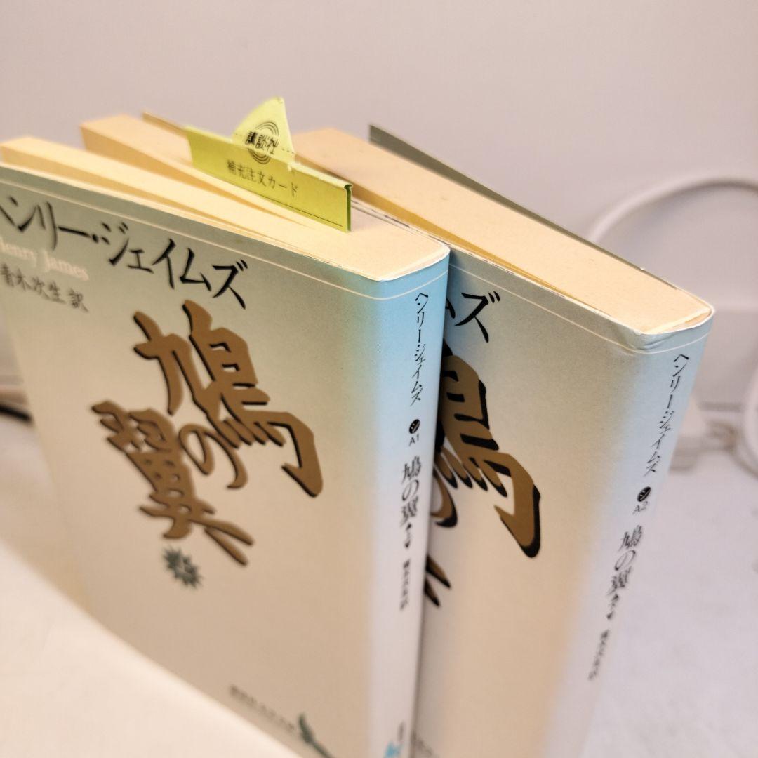 鳩の翼 上下 講談社文芸文庫