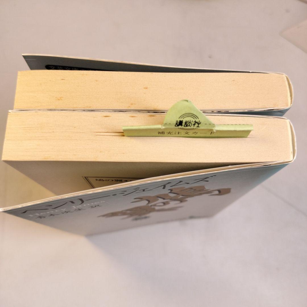 鳩の翼 上下 講談社文芸文庫