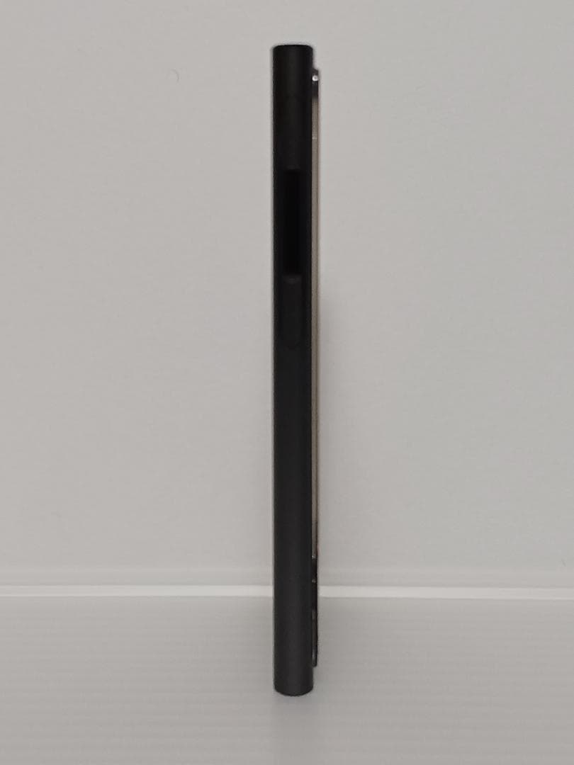 iPod nano 第7世代 本体のみ Apple