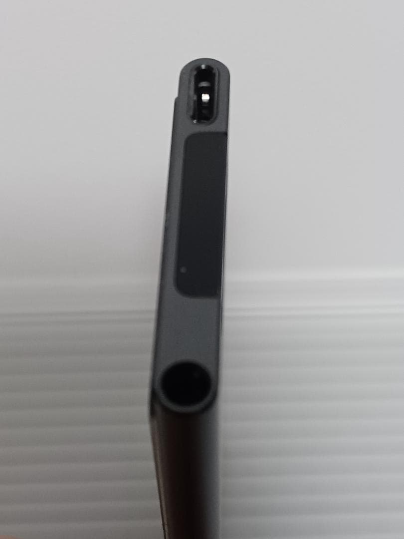 iPod nano 第7世代 本体のみ Apple